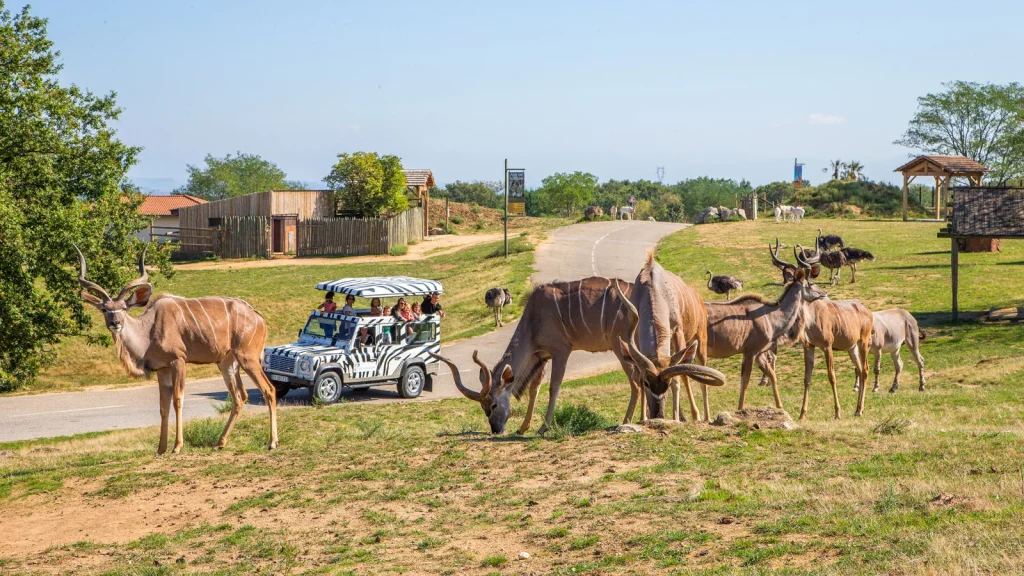 Family on a safari tour at The Peaugres Safari